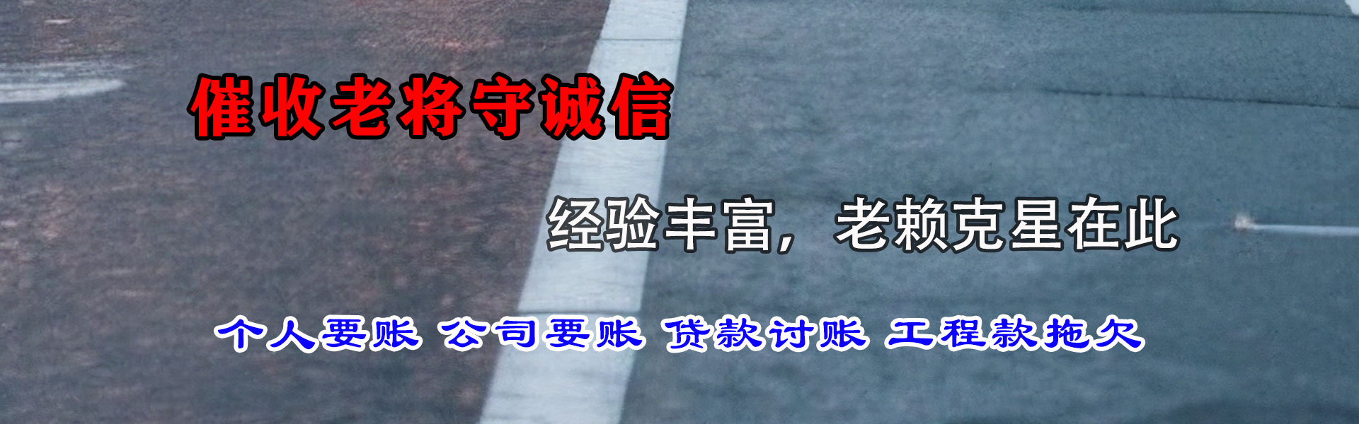 稻城要数公司